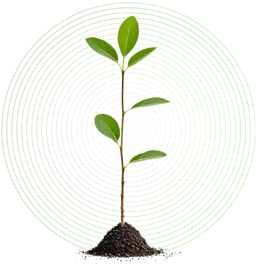Green Hosting