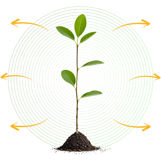 Green Hosting Features