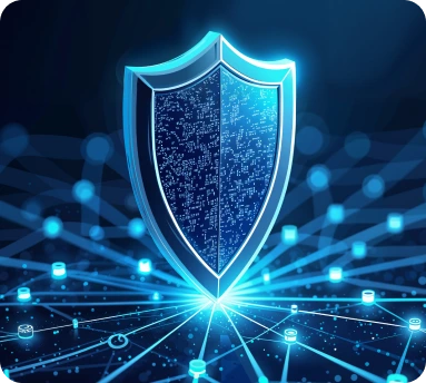 DDoS Protection