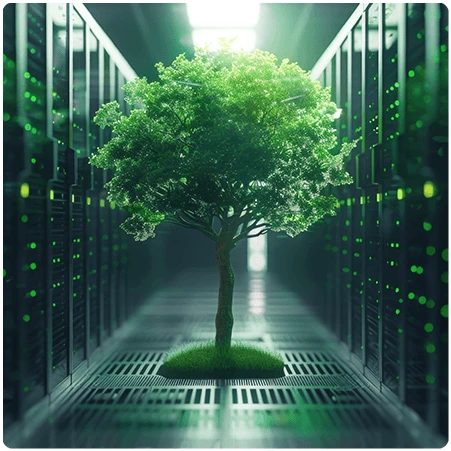 Tree Planting Programs