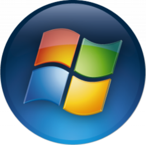 Windows Hosting Logo