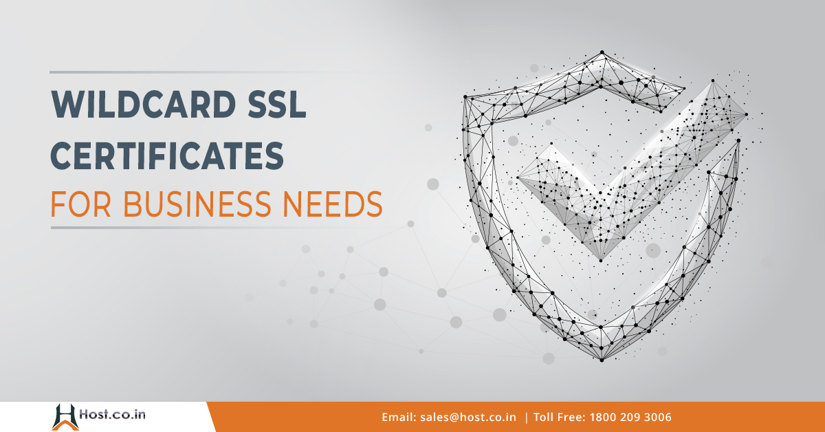 Wildcard SSL Certificates