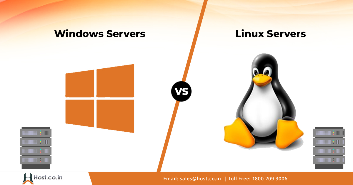 Windows-or-Linux-Server