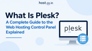 What Is Plesk