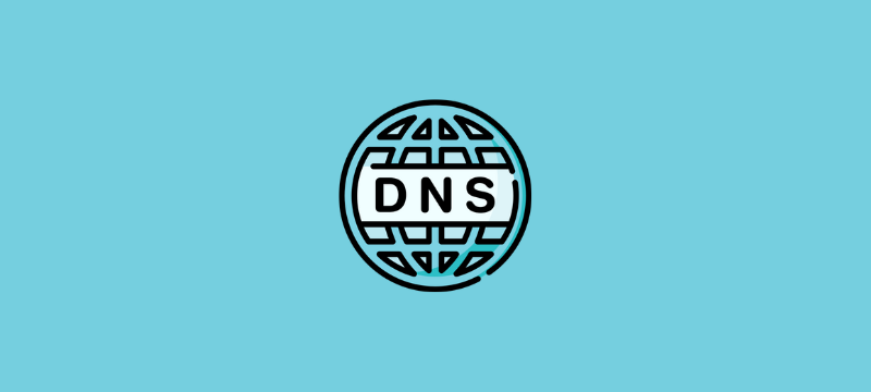 How to Track DNS in cPanel