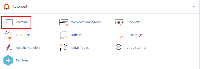 cpanel terminal