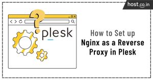 Reverse Proxy in Plesk